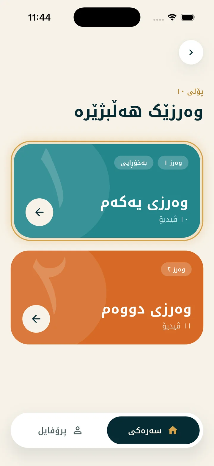 الشكل ٢ · الصف والكورس